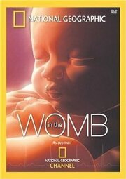 Life Before Birth из фильмографии Дилли Барлоу в главной роли.