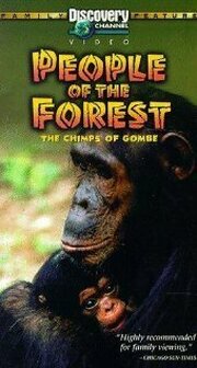 People of the Forest: The Chimps of Gombe - лучший фильм в фильмографии Фло