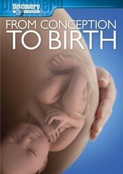 From Conception to Birth - лучший фильм в фильмографии James Cozza