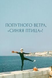 Попутного ветра, «Синяя птица»! из фильмографии Александр Гаврилов в главной роли.