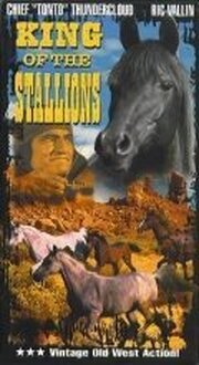 King of the Stallions из фильмографии Дж.В. Коуди в главной роли.