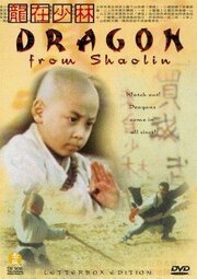 Long zai Shaolin - лучший фильм в фильмографии Tai-Ming Fan