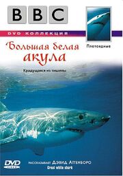 BBC: Большая белая акула из фильмографии Мартин Элзбьюри в главной роли.