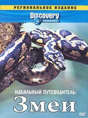 Discovery: Идеальный путеводитель. Змеи из фильмографии Эндрю Шиллабир в главной роли.