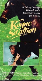 The Rogue Stallion - лучший фильм в фильмографии Мишель Фэйдон