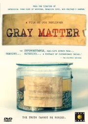 Gray Matter из фильмографии Майкл Бонфильо в главной роли.