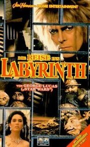 Inside the Labyrinth - лучший фильм в фильмографии Артур Соломон