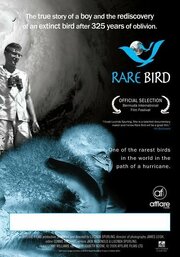 Rare Bird - лучший фильм в фильмографии Люсинда Сперлинг