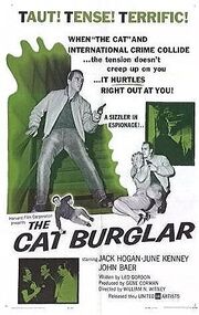 The Cat Burglar - лучший фильм в фильмографии Бадди Брегман