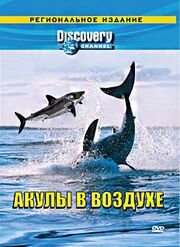 Discovery: Акулы в воздухе - лучший фильм в фильмографии Кэт Дженнаро