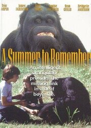 A Summer to Remember - лучший фильм в фильмографии Андре Баруч