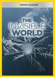 National Geographic: The Invisible World из фильмографии Берт Ван Мюнстер в главной роли.