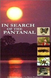 In Search of the Pantanal из фильмографии Дэвид Манн в главной роли.