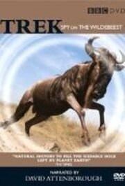 Trek: Spy on the Wildebeest из фильмографии Стюарт Гордон в главной роли.