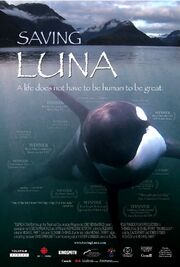 Saving Luna - лучший фильм в фильмографии Эндрю Джонсон