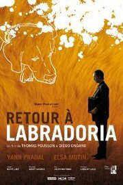 Retour à Labradoria - лучший фильм в фильмографии Диего Онгаро