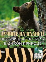 Animal Planet: Лучшее на планете - лучший фильм в фильмографии Роб Энглхардт