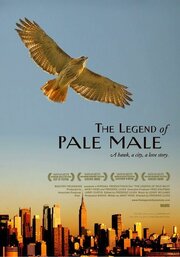 The Legend of Pale Male - лучший фильм в фильмографии Фред Кауфман