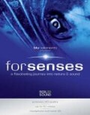 Senses из фильмографии Энди Т. Трэн в главной роли.