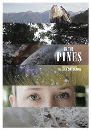 In the Pines - лучший фильм в фильмографии Кристофер Колдуэлл