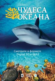 Чудеса океана 3D - лучший фильм в фильмографии Франсуа Мантелло