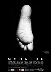 Moonbug - лучший фильм в фильмографии Steve Pyke