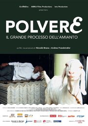 Polvere - Il grande processo dell'amianto - лучший фильм в фильмографии Андреа Прандстраллер