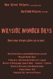 Wayside Wonder Days - лучший фильм в фильмографии Larry Morgan