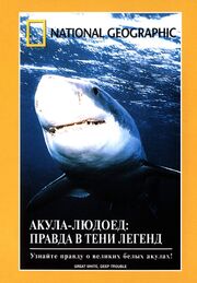 НГО: Акула-людоед. Правда в тени легенд - лучший фильм в фильмографии Стелла Ча