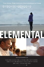 Elemental из фильмографии Панкадж Джха в главной роли.