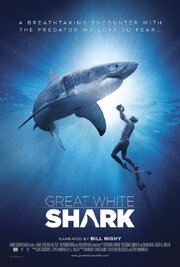 Great White Shark - лучший фильм в фильмографии David Newton