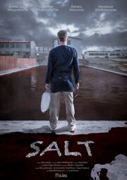 Salt - лучший фильм в фильмографии Sveinbjörn Hjálmarsson