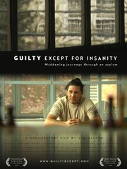 Guilty Except for Insanity - лучший фильм в фильмографии Jan Haaken