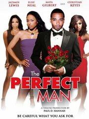 The Perfect Man - лучший фильм в фильмографии Theodore Gearring