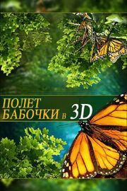 Полет бабочки 3D из фильмографии Тимо Дж. Мэйер в главной роли.