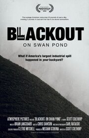 Blackout: On Swan Pond - лучший фильм в фильмографии Scott Colthorp