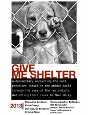 Give Me Shelter из фильмографии Роберт Дави в главной роли.