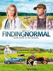 Finding Normal - лучший фильм в фильмографии Валери Бретт