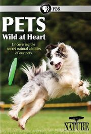 Pets: Wild at Heart - лучший фильм в фильмографии Род Кларк