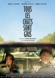 Tous les chats sont gris - лучший фильм в фильмографии Тома Бюлен