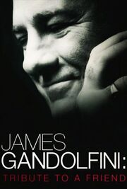 James Gandolfini: Tribute to a Friend - лучший фильм в фильмографии Роэн Сен