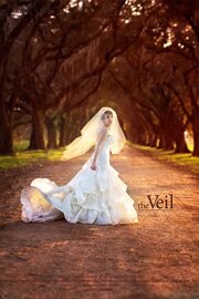 The Veil из фильмографии Томас Баумгарднер в главной роли.