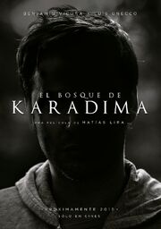 El Bosque de Karadima из фильмографии Мирейя Сотокониль в главной роли.