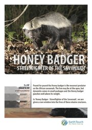 Ultimate Honey Badger - лучший фильм в фильмографии Расселл Берг