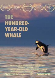 The Hundred Year Old Whale - лучший фильм в фильмографии Lance Barrett-Lennard