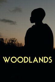 Woodlands - лучший фильм в фильмографии Jon Titterington