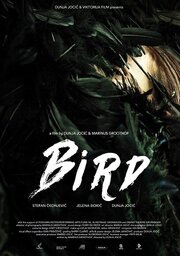 Bird - лучший фильм в фильмографии Маринус Гротхоф