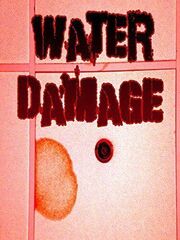 Water Damage - лучший фильм в фильмографии Shawn Miller