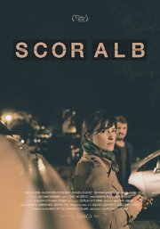 Scor Alb - лучший фильм в фильмографии Ноисерв