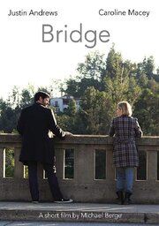 Bridge - лучший фильм в фильмографии Michael Berge